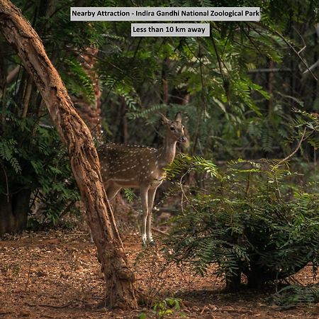 Oyo 8929 Stay Siddhartha Residency Jalaripeta Екстер'єр фото