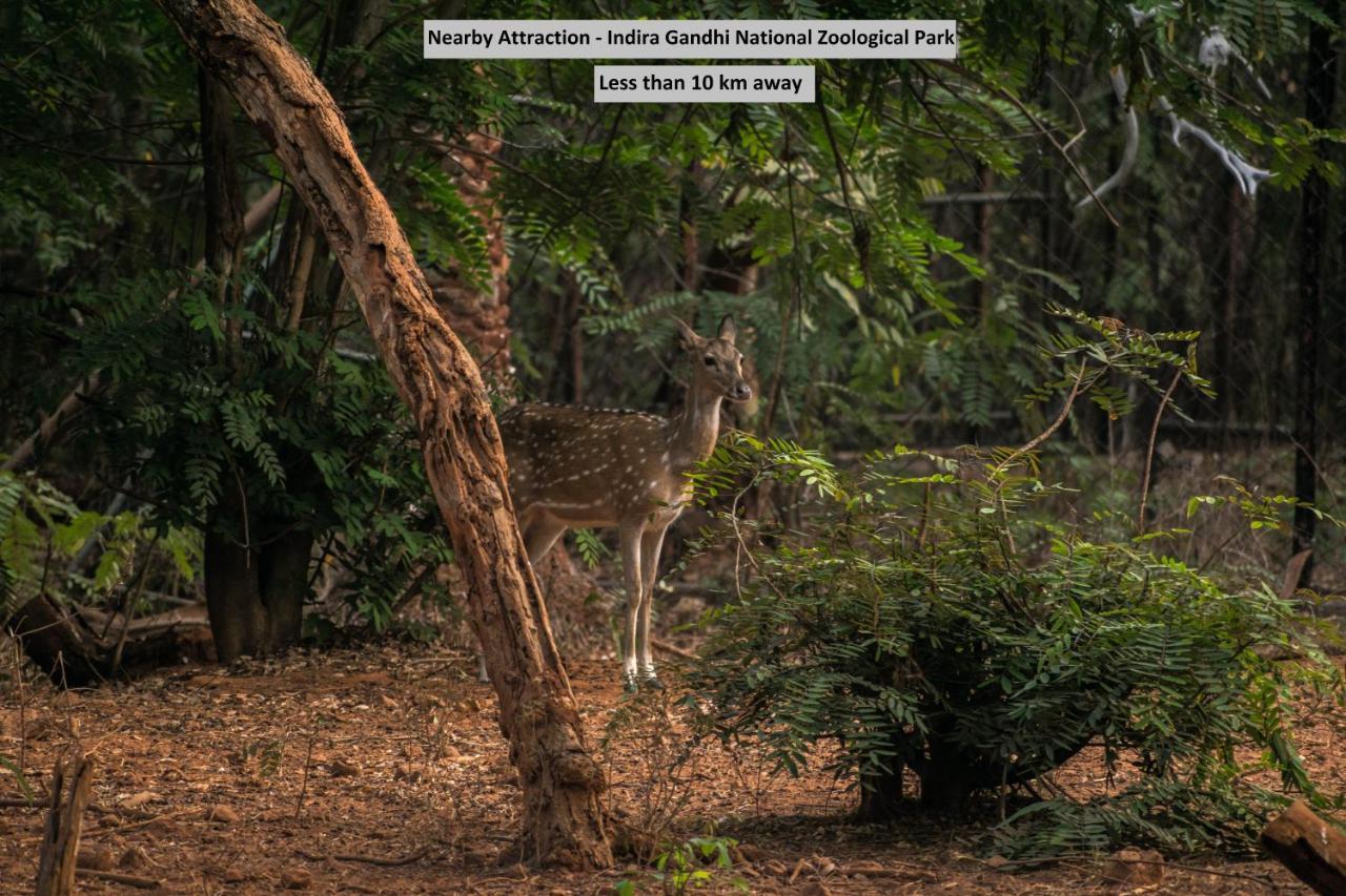 Oyo 8929 Stay Siddhartha Residency Jalaripeta Екстер'єр фото